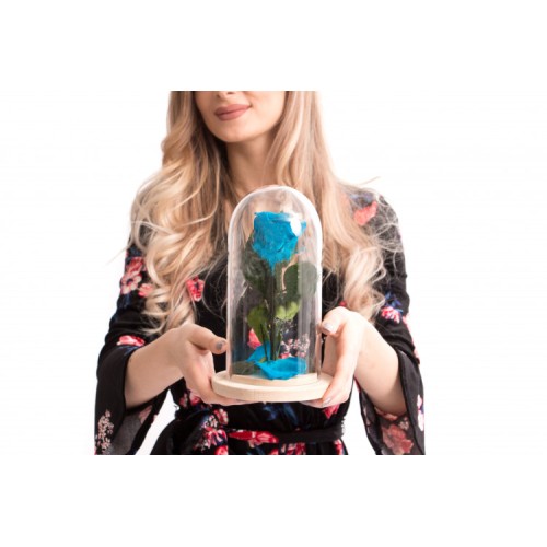 Forever Rose In Glass Dome Blue Heart
