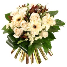 Cream Roses And Gerbera, Order In Romania (Standard)
