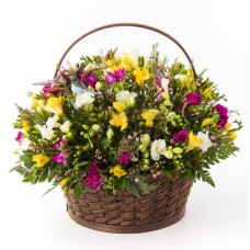 101 Fragrant Freesias