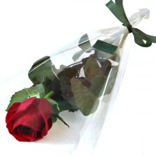 Single Red Rose - Deliver Flowers In Romania