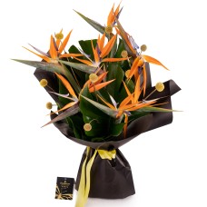 Strelitzia bouquet, bird of paradise (Deluxe)