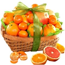 Huge Citrus Gift Basket (Premium)