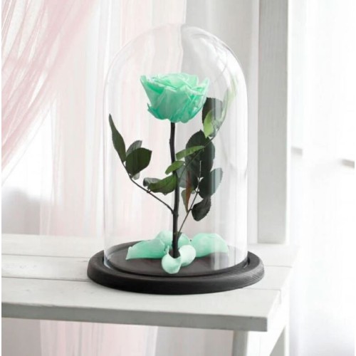 Eternal Mint Rose (Regular)