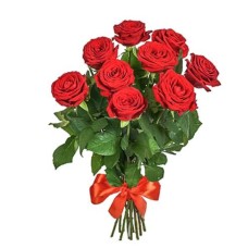 9 Red Roses (Regular)