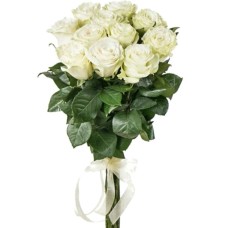 11 Luxury White Roses