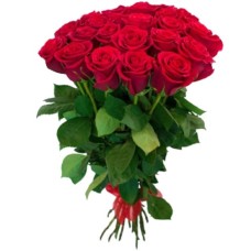 19 Red Roses