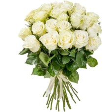 19 White Roses