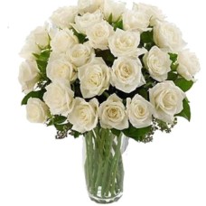 25 White Roses