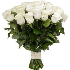 39 Luxury White Roses