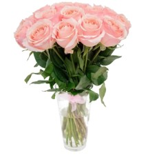 11 Pink Roses (Regular)