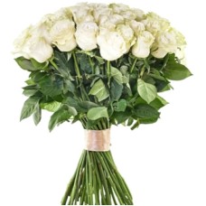 25 Luxury White Roses