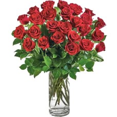 25 Luxury Red Roses