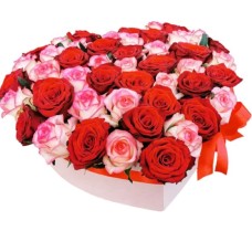 My Heart is Yours (Regular)