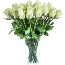 15 White Roses