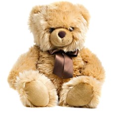 Cuddly Bear