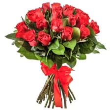 15 Red Roses