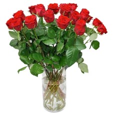 17 Red Roses