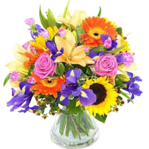 Seasonal Flowers
