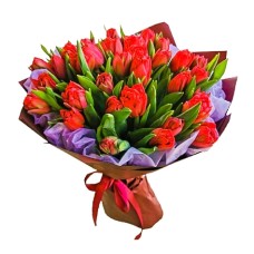 35 Red Tulips (Premium)