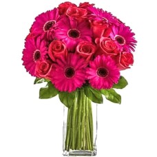 Bright Deep Red