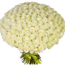101 White Roses