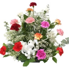 Carnations Assorted