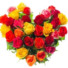 Bright Roses Heart
