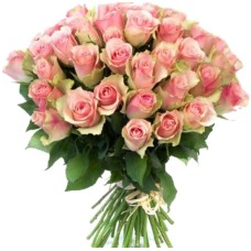 29 Pink Roses