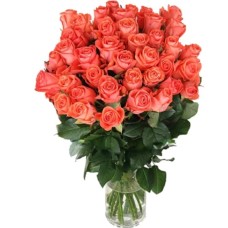 39 Coral Roses