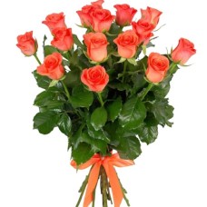 15 Coral Roses