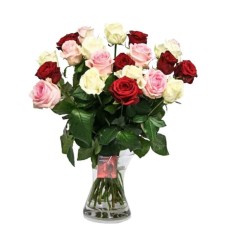 21 Mix Color Roses
