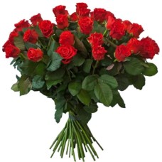 39 Red Roses