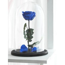Eternal Blue Rose