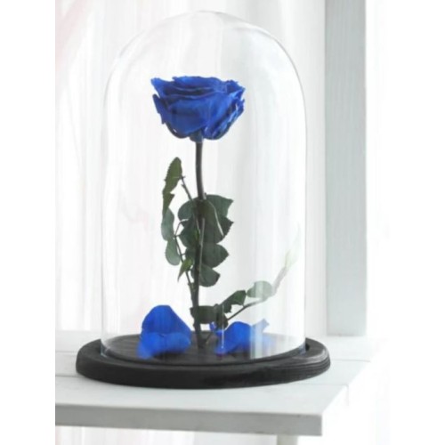 Eternal Blue Rose