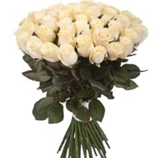 35 White Roses