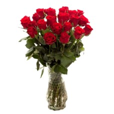 21 Red Roses (Regular)