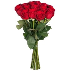 15 Luxury Red Roses