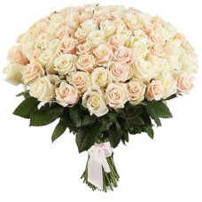 101 Pink Roses