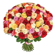 101 Mixed Roses (Regular)