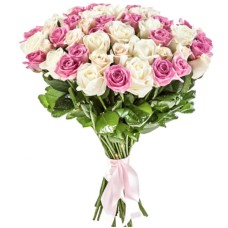 51 Pink White Roses