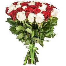 35 Red White Roses