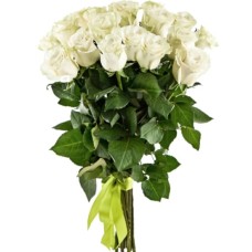 17 Luxury White Roses