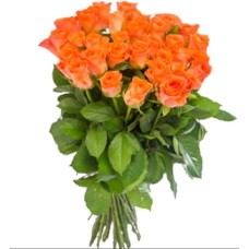 29 Coral Roses