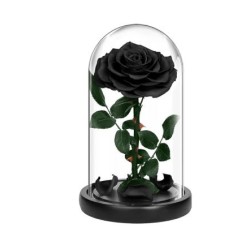 Eternal Black Rose