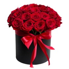 19 Red Roses in Box (Regular)