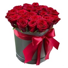 25 Red Roses in Box (Regular)