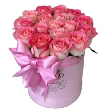 15 Pink Roses in Hatbox (Regular)