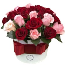 23 Roses In Box