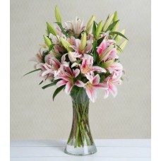 Pink Lilies - Pink Fantasia
