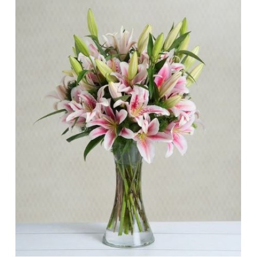 Pink Lilies - Pink Fantasia
